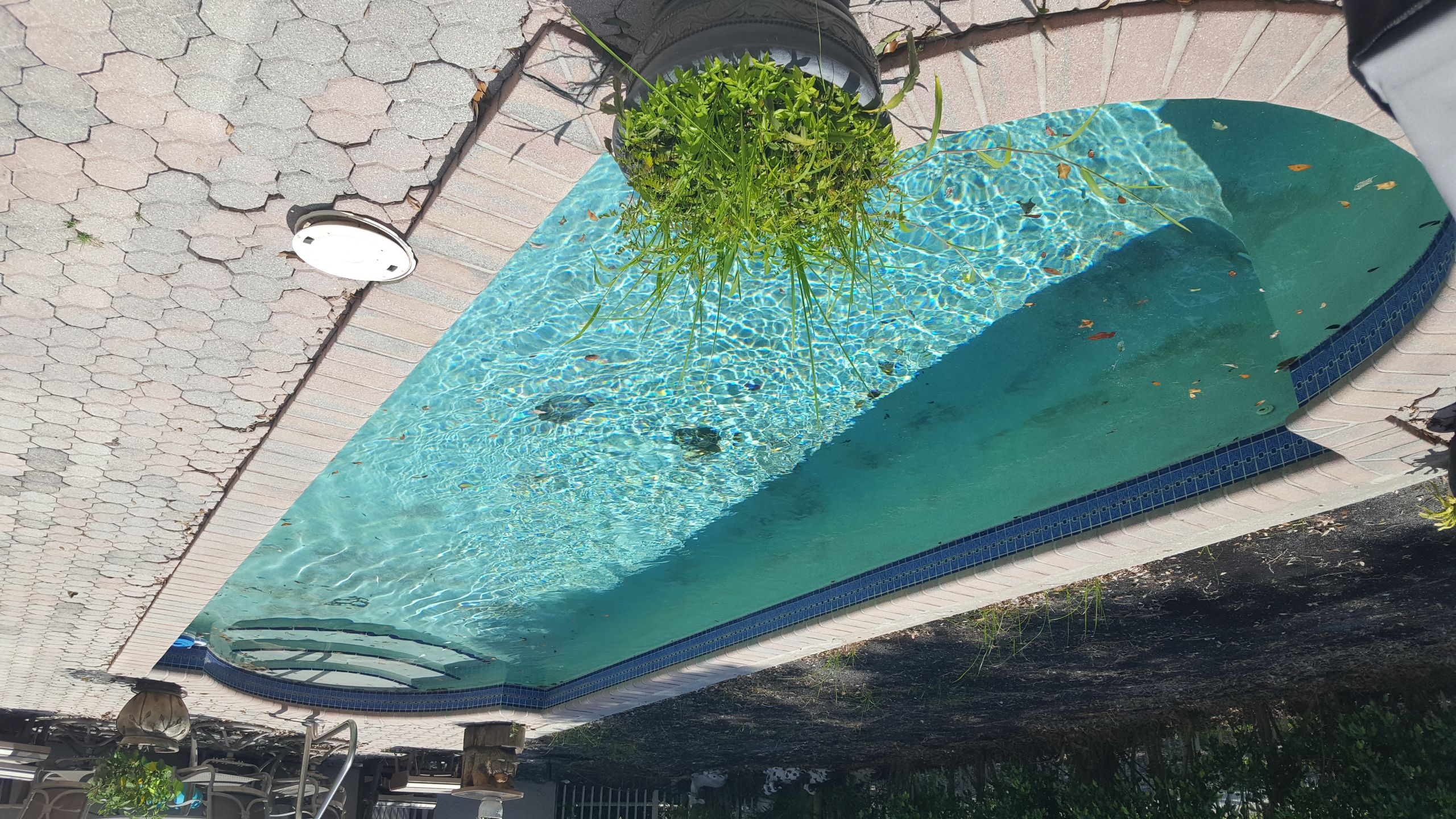 Artech Pools